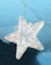 Decoration for the holiday. white transparent plastic five pointed star