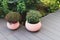 Decoration of the terrace and patio flowers in pink pots. Decorating and gardening in European Italian style. new luxury