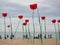 Decorations in the shape of giant poppies on the seashore at the