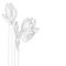 Decorative amaryllis line branch flowers bud set, design elements. Can be used for cards, invitations, banners, posters, print des