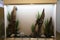 Decorative aquarium driftwood and stones