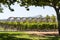 Decorative archway in a vineyard. South Africa