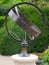 Decorative armillary sphere globe metal sculpture.