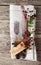 Decorative Autumn Table with vintage silverware and napkin