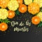 Decorative background with orange marigolds, symbol of mexican holiday Day of dead. Vector illustration