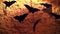 Decorative bats background for Halloween decorations