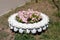 The decorative bed of flowers made of an old automobile wheel