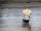 Decorative bike carries popcorn in a cart