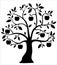 Decorative black apple tree