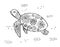 Decorative black sea turtle on a white background