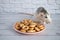 Decorative black and white cute rat sniffs and eats round bagels from a pink ceramic plate. Rodent close-up on a background of