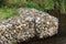 Decorative blocks with pebbles in mesh on calm pond bank