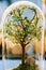 Decorative Bonsai Tree Glass Terrarium