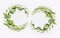 Decorative botanical flower double wreath frames made of green different flowers and leaves, flat lay