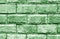 Decorative brick wall in green color