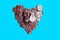Decorative bride dress and groom tuxedo clamps together on pile heart-shaped of american dollars coins on blue background