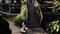 Decorative bridge in the garden in summer