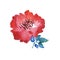 Decorative bright red floral watercolor illustration.