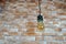 Decorative bulbs in Edison style on a brick wall background.