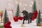 Decorative bull symbol of New Year on the background of Christmas tree and bokeh