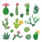 Decorative cactus collection. Cacti flowers symbols, mexico desert plants icons. Mexican or arizona cartoon elements