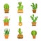 Decorative cactus in pots. Vector set. Desert plants isolate on white background