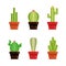 Decorative cactus set with prickles on the white background. Home plants cactus in pots and with flowers. Flat style