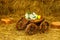 Decorative cart with flowers on the hay