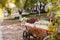 Decorative cart with hay