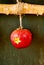 Decorative carved Christmas apple decoration