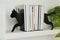 Decorative cat bookends with books and plant on shelf indoors