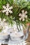 Decorative christmas jar for candles with thuja twigs wreath and wooden stars