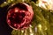 Decorative christmas ornaments baubles on green evergreen branches of a coniferous tree