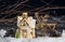 decorative Christmas ornaments, little house, deer on a dark background