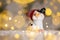 Decorative Christmas-themed figurines. Cute pig in a hat. Christmas tree decoration. Festive decor, warm bokeh lights