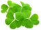 Decorative clover leaves