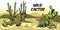 Decorative colorful banner with desert cactuses engraving vector illustration.