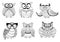 Decorative colorless owls and cute owlets