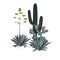 Decorative composition composed of groups of saguaro cactus, prickly pear, and blooming blue agave. Vector illustration