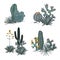 Decorative compositions composed of groups of cacti, blooming prickly pear, agaves, and yucca. Vector set illustration