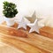 Decorative concrete stars and green plant on a table