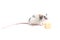 Decorative cute mouse sniffing cheese on a light background