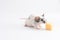 Decorative cute mouse sniffing cheese on a light background