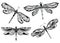 Decorative dragonflies set