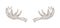 Decorative drawing of elk or moose palmate antlers. Trophy or haul hand drawn with contour lines on white background