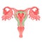 Decorative drawing of female reproductive system with flowers. Hand drawn uterus, womb. Girl power, feminism. Vector