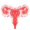 Decorative drawing of female reproductive system with flowers. Hand drawn uterus, womb. Girl power, feminism. Vector