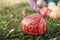 decorative easter eggs in outdoor in the grass