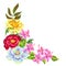 Decorative element with China flowers. Bright buds of magnolia, peony, rhododendron and chrysanthemum