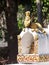 Decorative elements with meaningful buddhism ornaments in WAT XIENG THONG